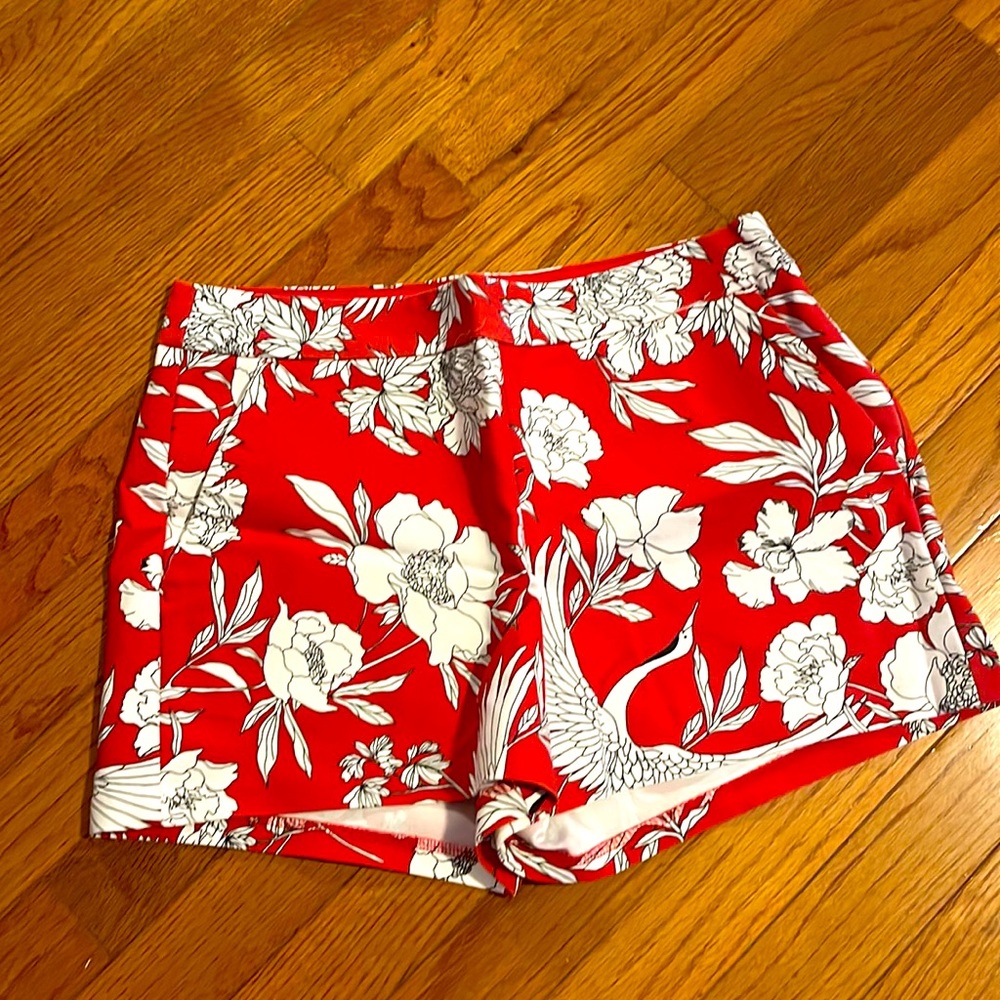 Express shorts-